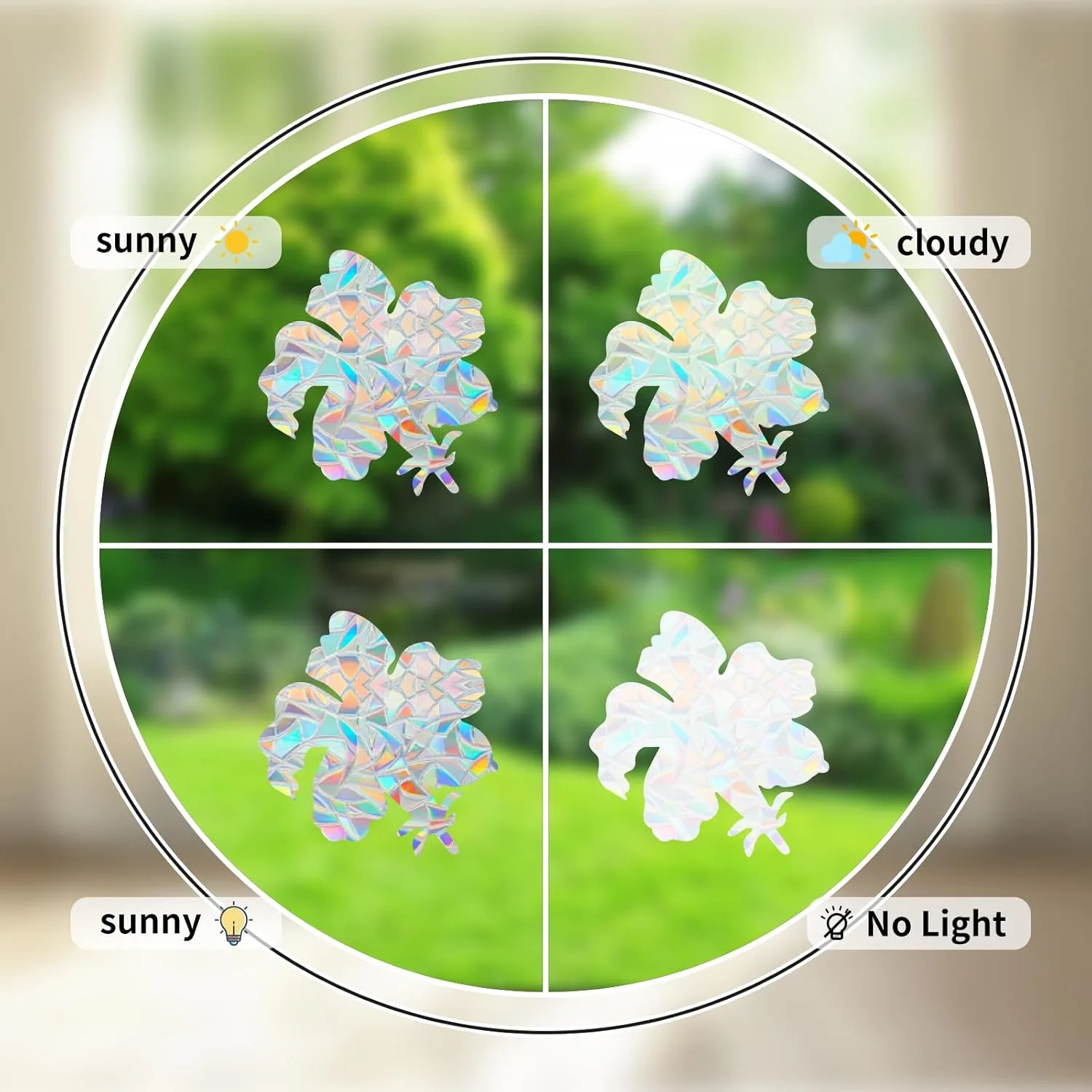 window film hummingbird 4