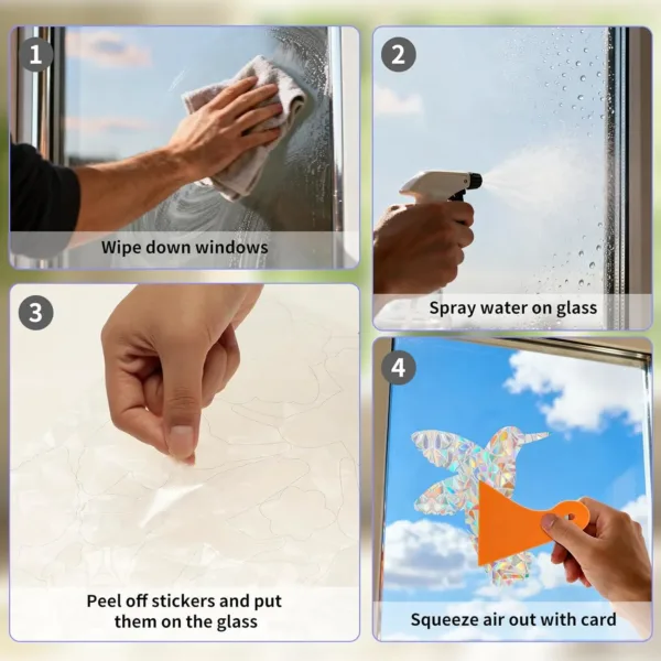 window film hummingbird 5