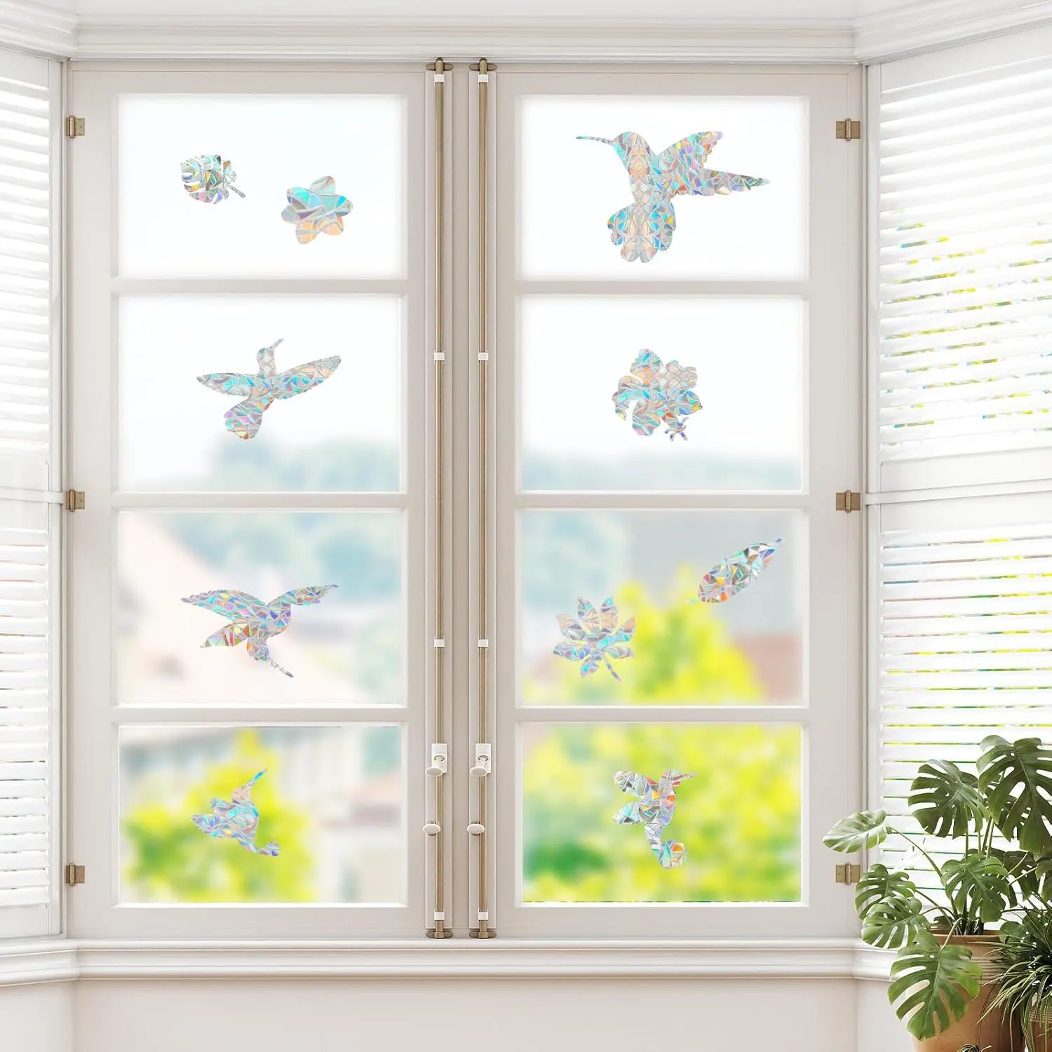 window film hummingbird 7